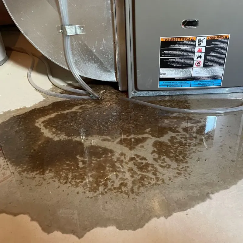 Pipe Burst and Leak Restoration in Tyngsboro, MA