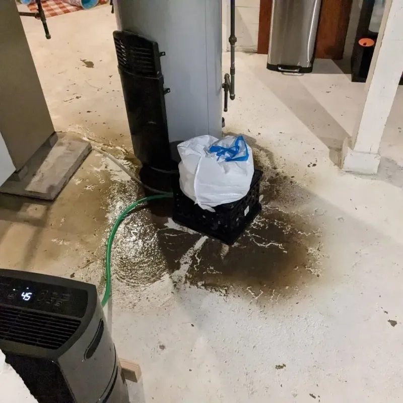 Sewage Backup Cleanup Service in Tyngsboro, MA